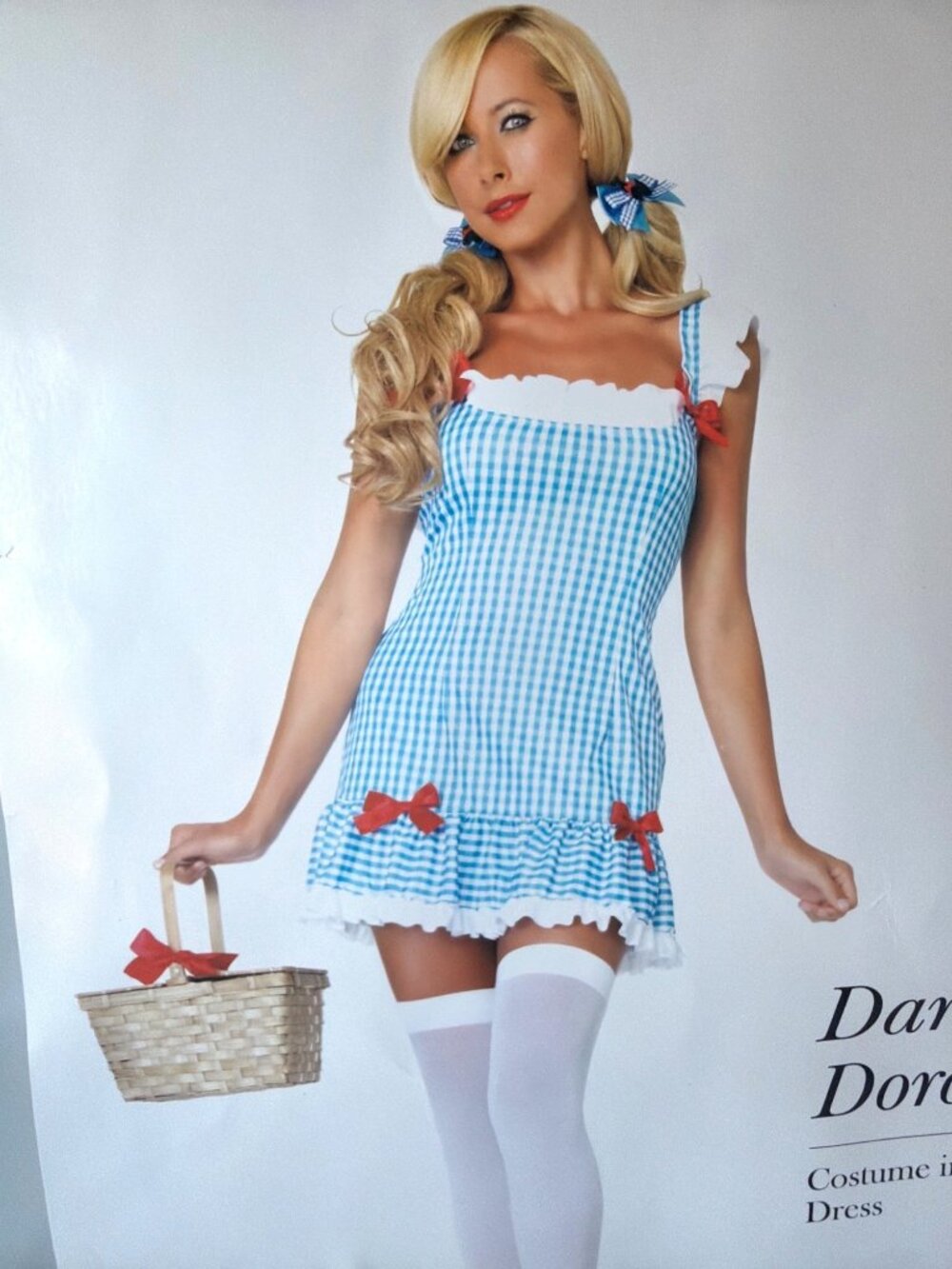 Leg Avenue Dorothy Costume Wizard of Oz Cosplay Set Adult Size Medium